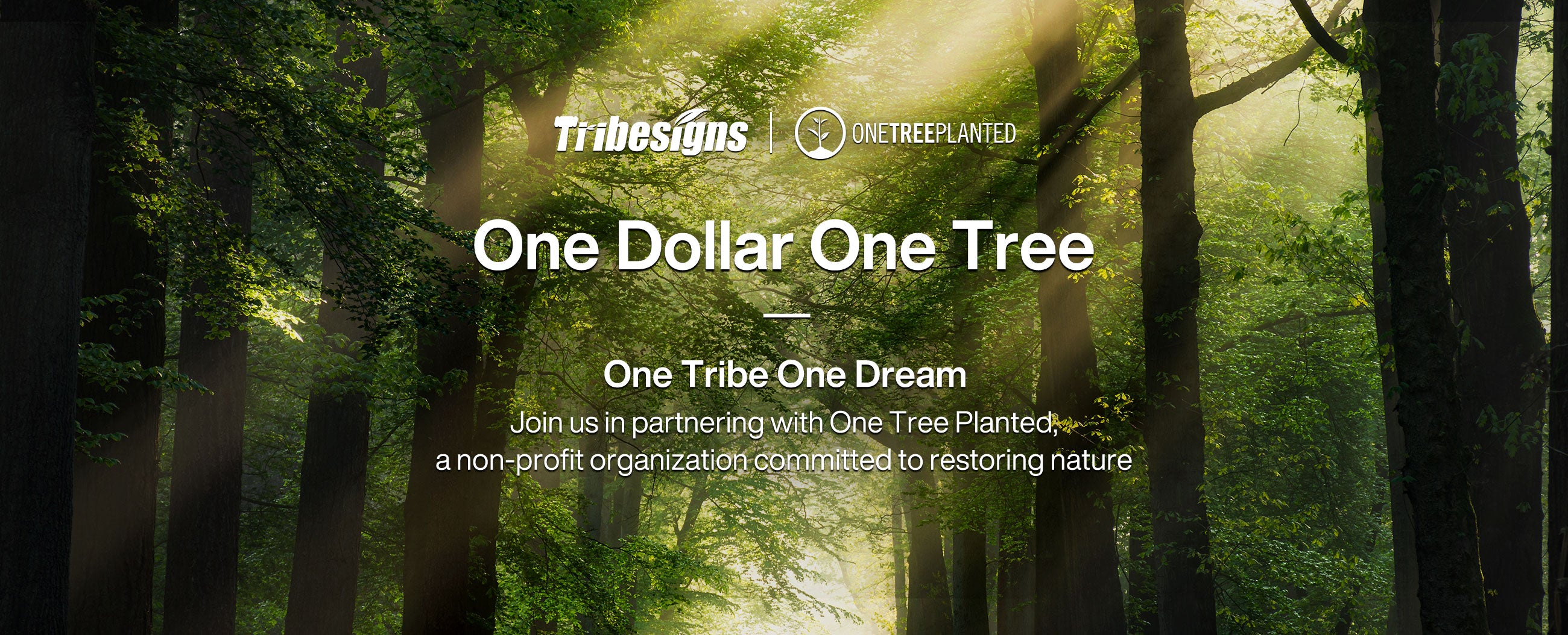 Tribesigns plantó 19 000 árboles a través de la asociación de reforestación One Tree Planted